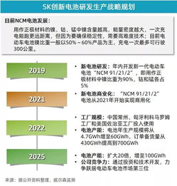 5月新能源乘用車市場(chǎng)增速放緩，投資管理面臨新考量