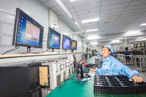 擦亮射陽名片 網絡技術研發賦能營商環境溫度升級